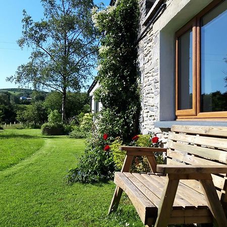 Nant Yr Onnen B&B And Holiday Cottage Tregaron Exterior foto