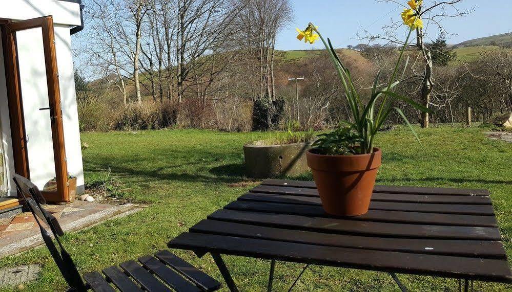 Nant Yr Onnen B&B And Holiday Cottage Tregaron Exterior foto