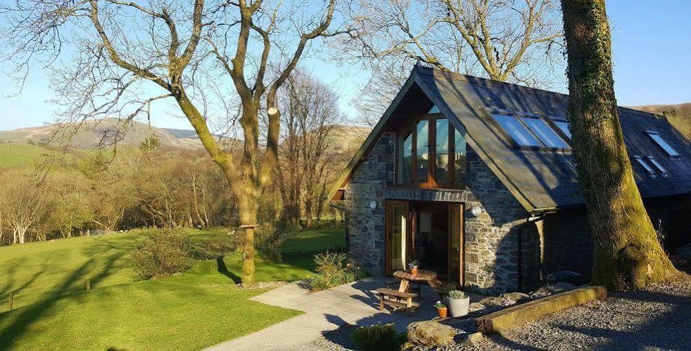 Nant Yr Onnen B&B And Holiday Cottage Tregaron Exterior foto