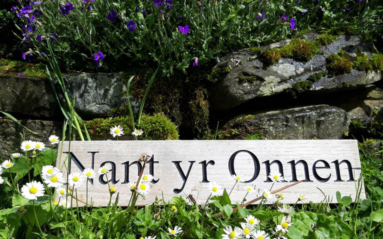 Nant Yr Onnen B&B And Holiday Cottage Tregaron Exterior foto